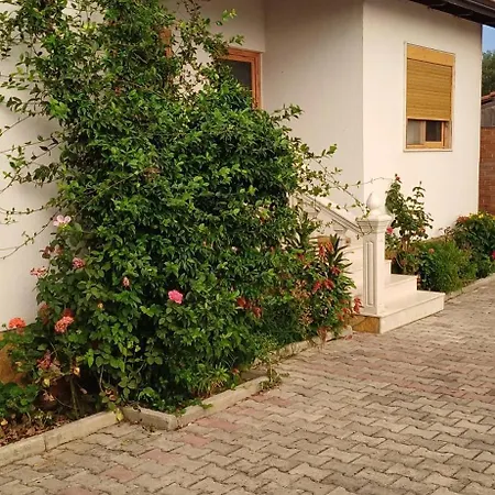 Lepenica 3* Radhimë